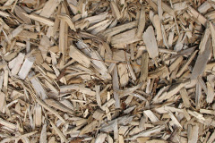 biomass boilers Sandhole